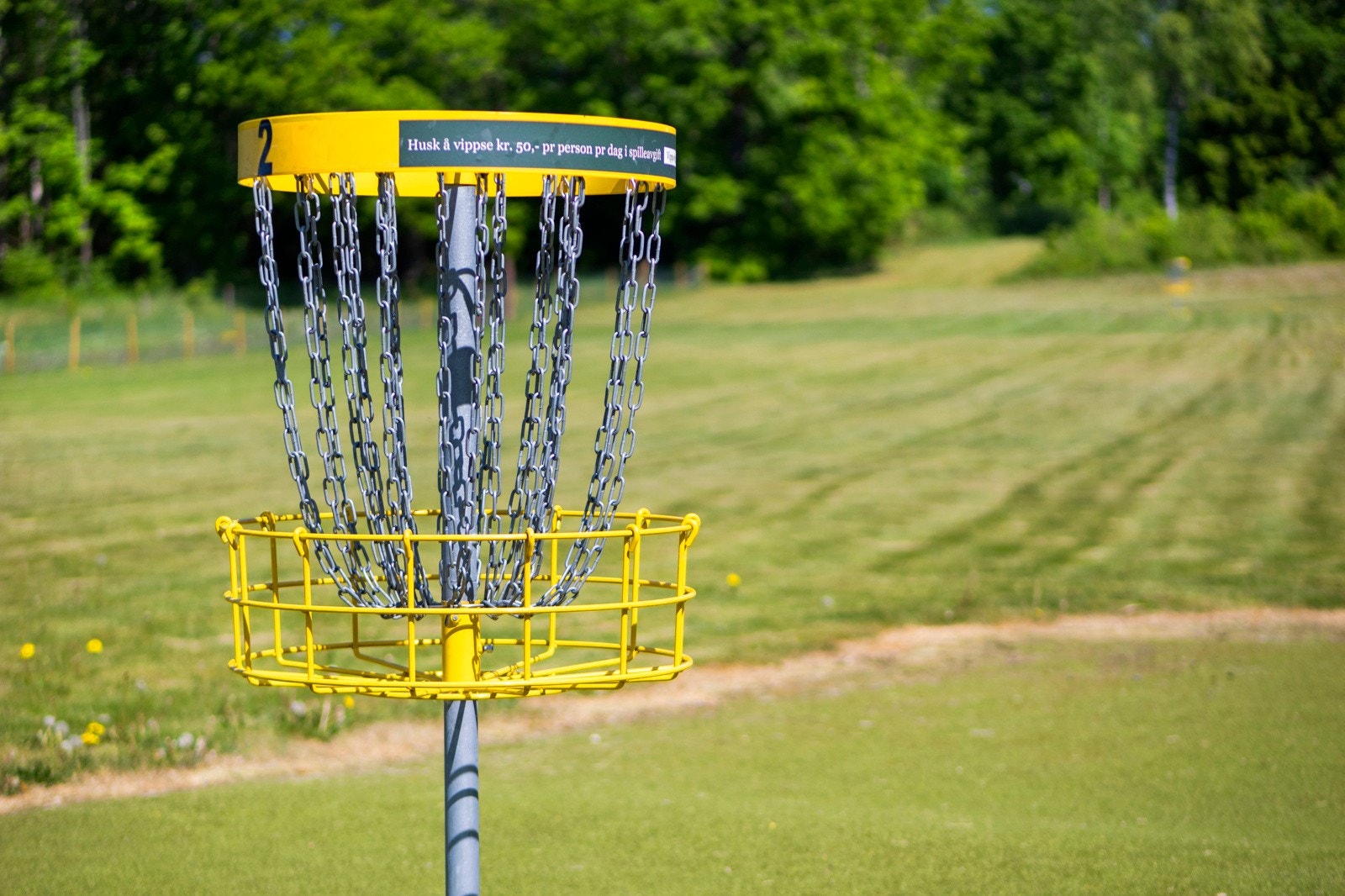 Flere hyggelige aktiviteter i området som frisbeegolf Galleribilde