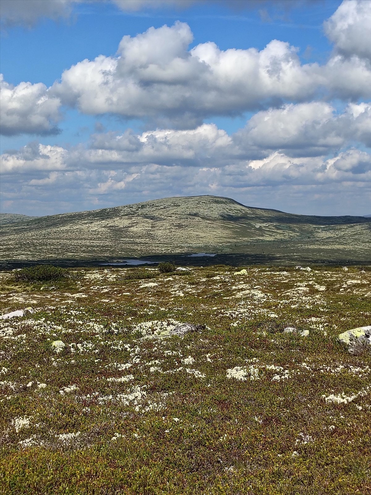 Områdebilde - selgers eget bilde Galleribilde