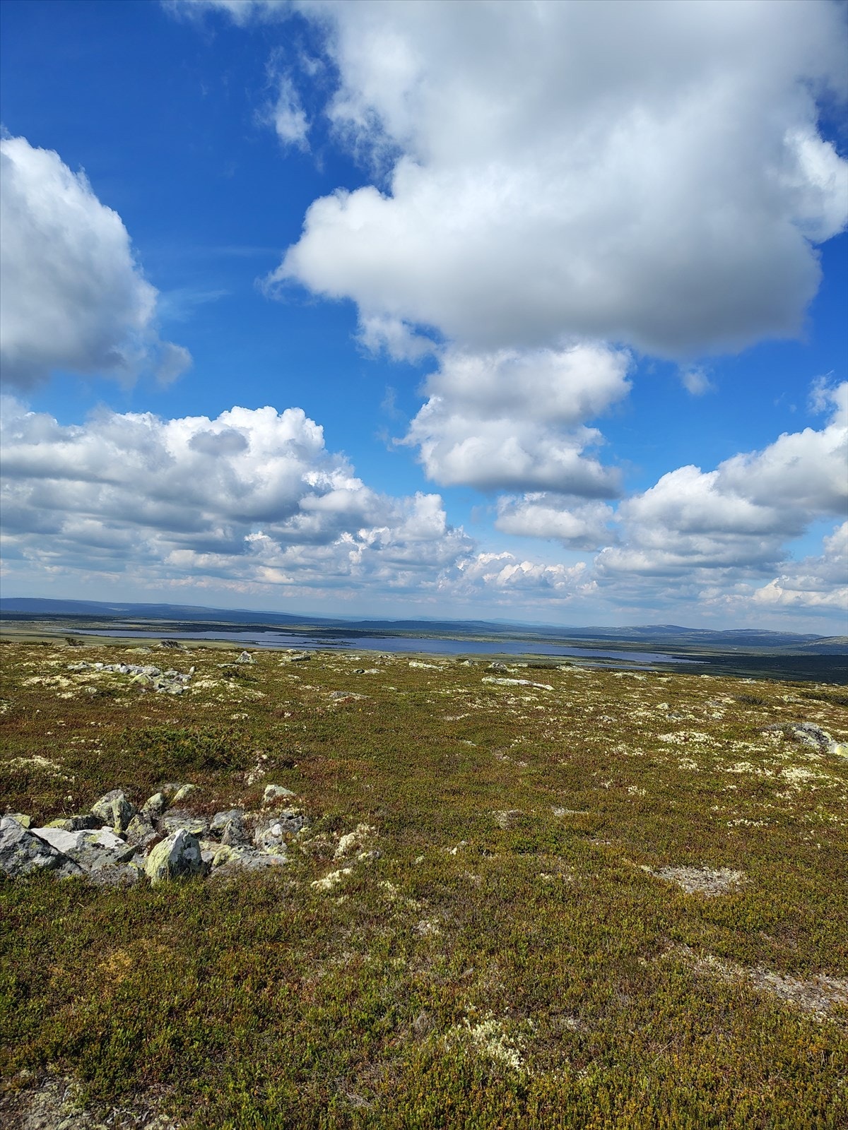 Områdebilde - selgers eget bilde Galleribilde