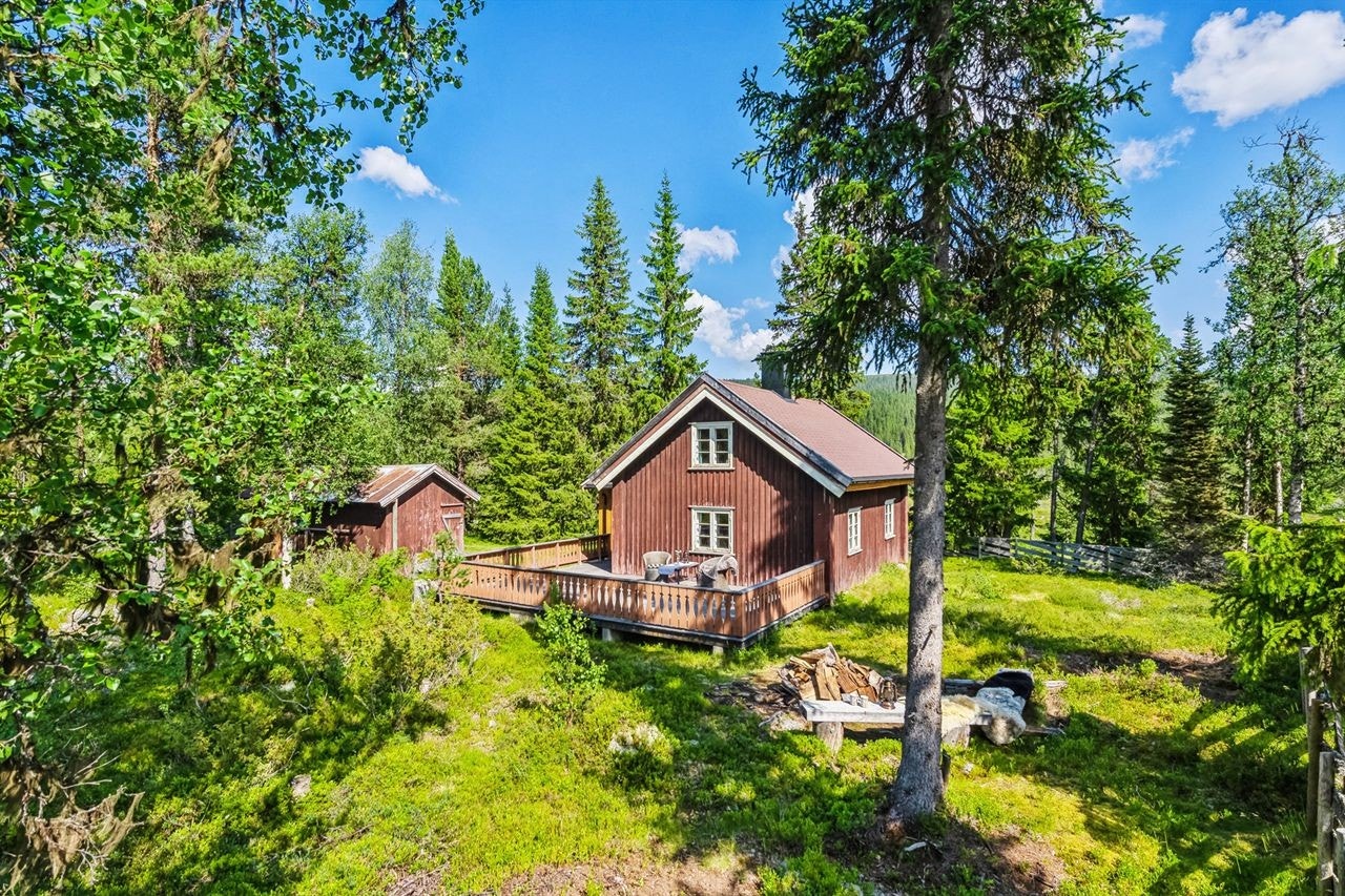 Hytta har skiløypa rett i nærheten og det er gode jakt-og fiskemuligheter i området. Galleribilde