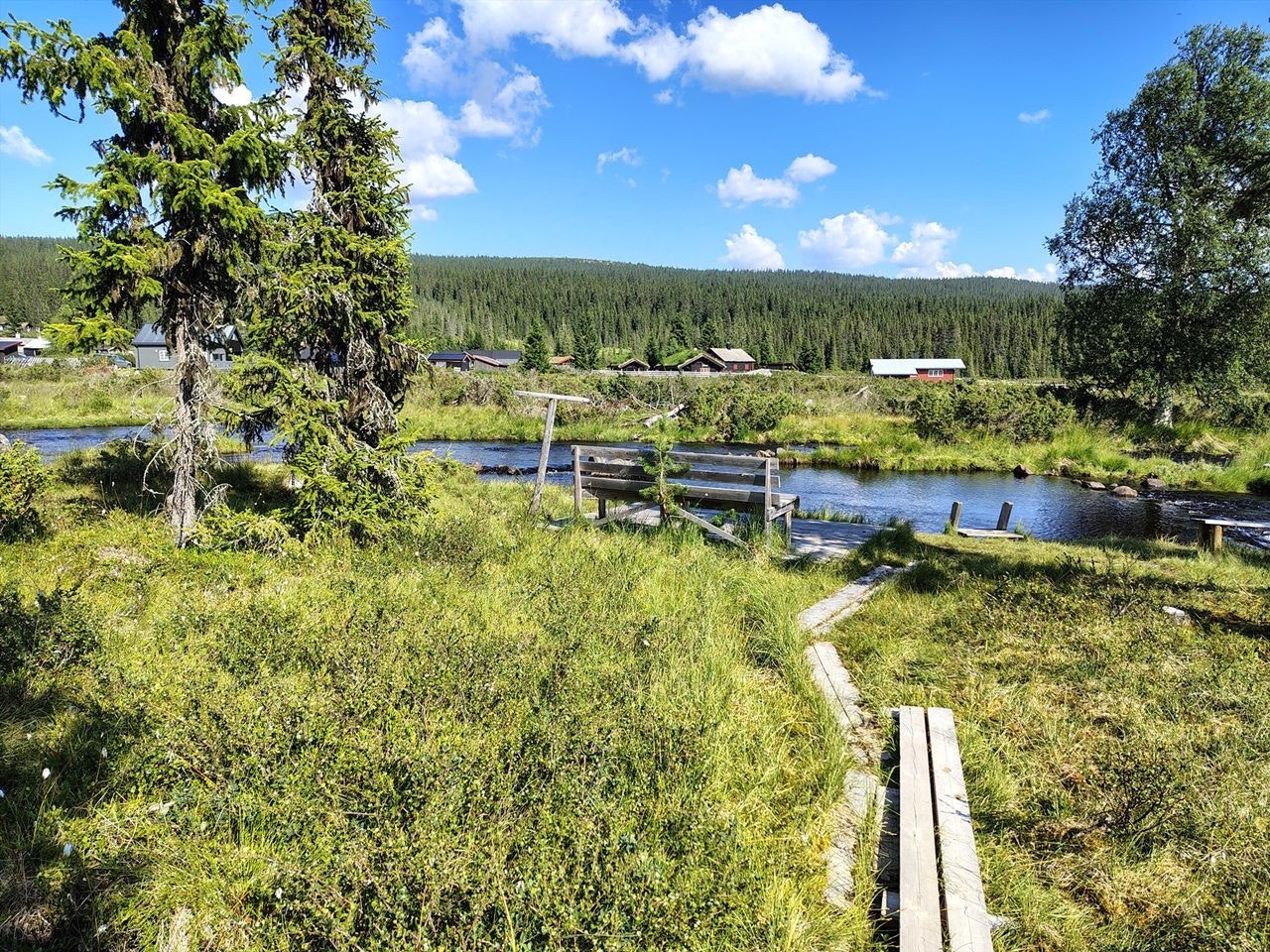 Områdebilde - selgers eget bilde Galleribilde