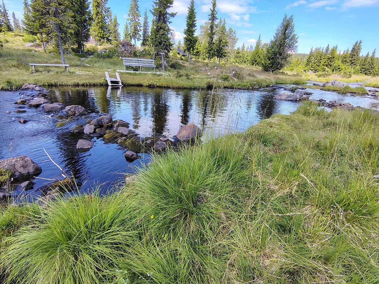 Områdebilde - selgers eget bilde Galleribilde