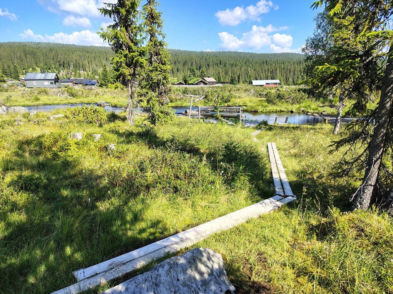 Områdebilde - selgers eget bilde Galleribilde