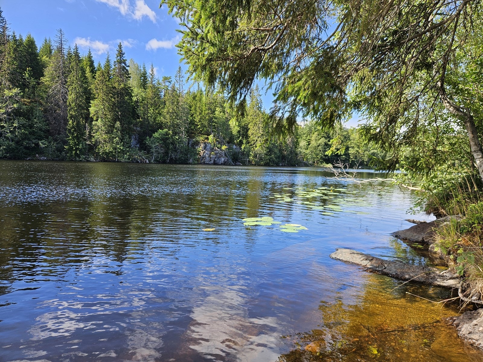 Flotte badevann i nærområdet/Tjernslitjernet Galleribilde