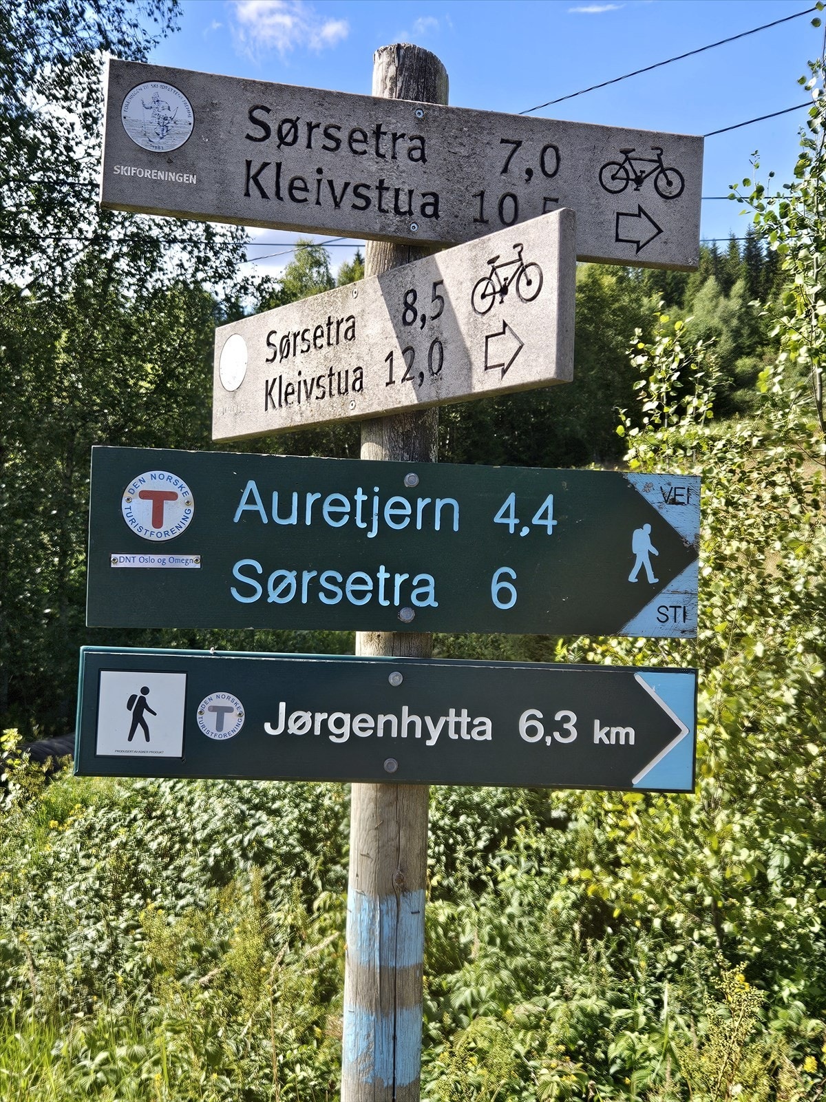 Det er flotte turstier på begge sider av Ringeriksveien, samt kort vei til Tyrifjorden med mange fine badeplasser og turområder Galleribilde