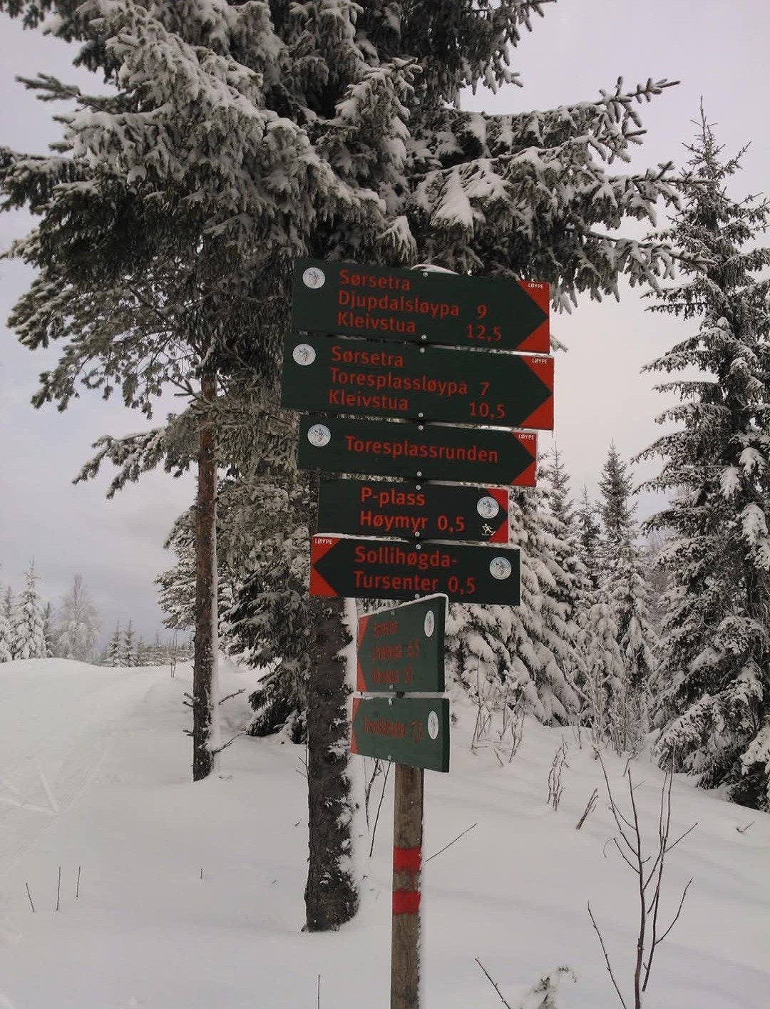 Om vinteren er det et vel av preparerte skiløyper og lysløyper i området Galleribilde