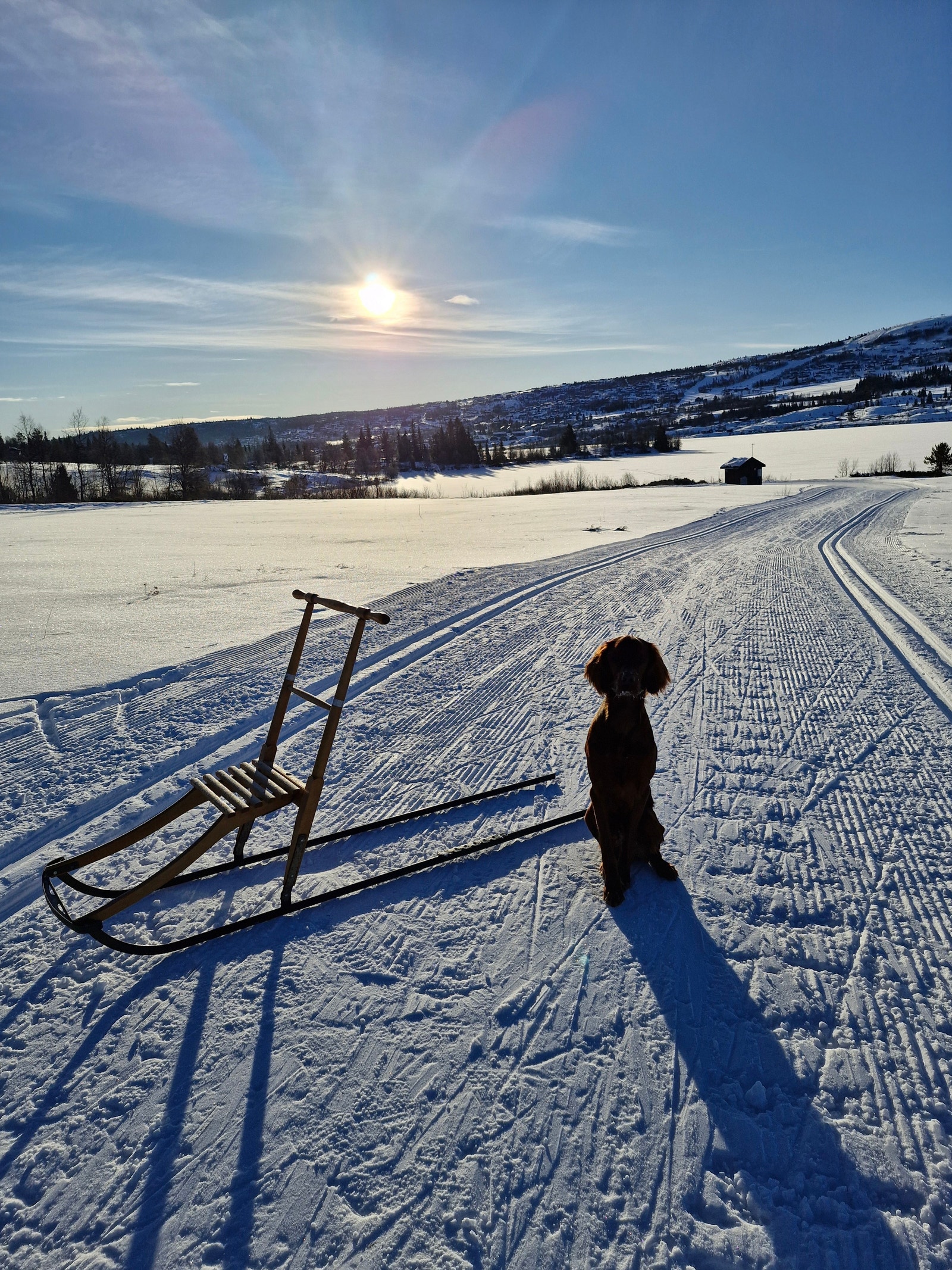 Idyllisk vintermorgen på Vaset Galleribilde