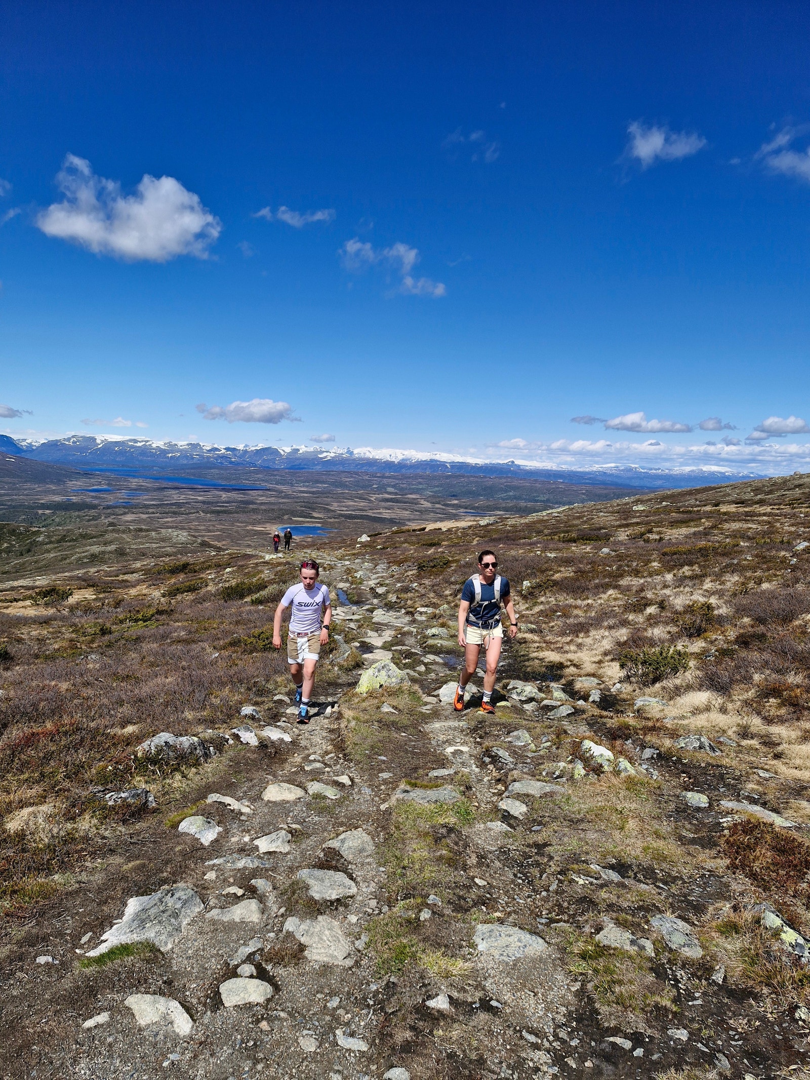 Fra fottur til Grønnsenknippa tidlig i sommer. Dette er en populær og familievennlig topptur som passer alle aldre. Når man kommer på toppen så kan man nyte 360 graders utsikt mot Jotunheimen og Vestfjella mm. Galleribilde