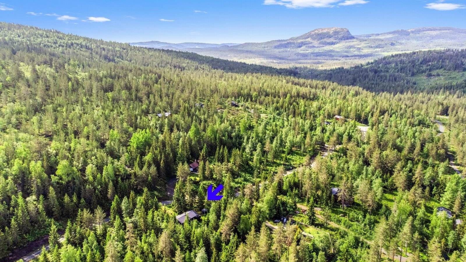 Oversiktsbilde Galleribilde