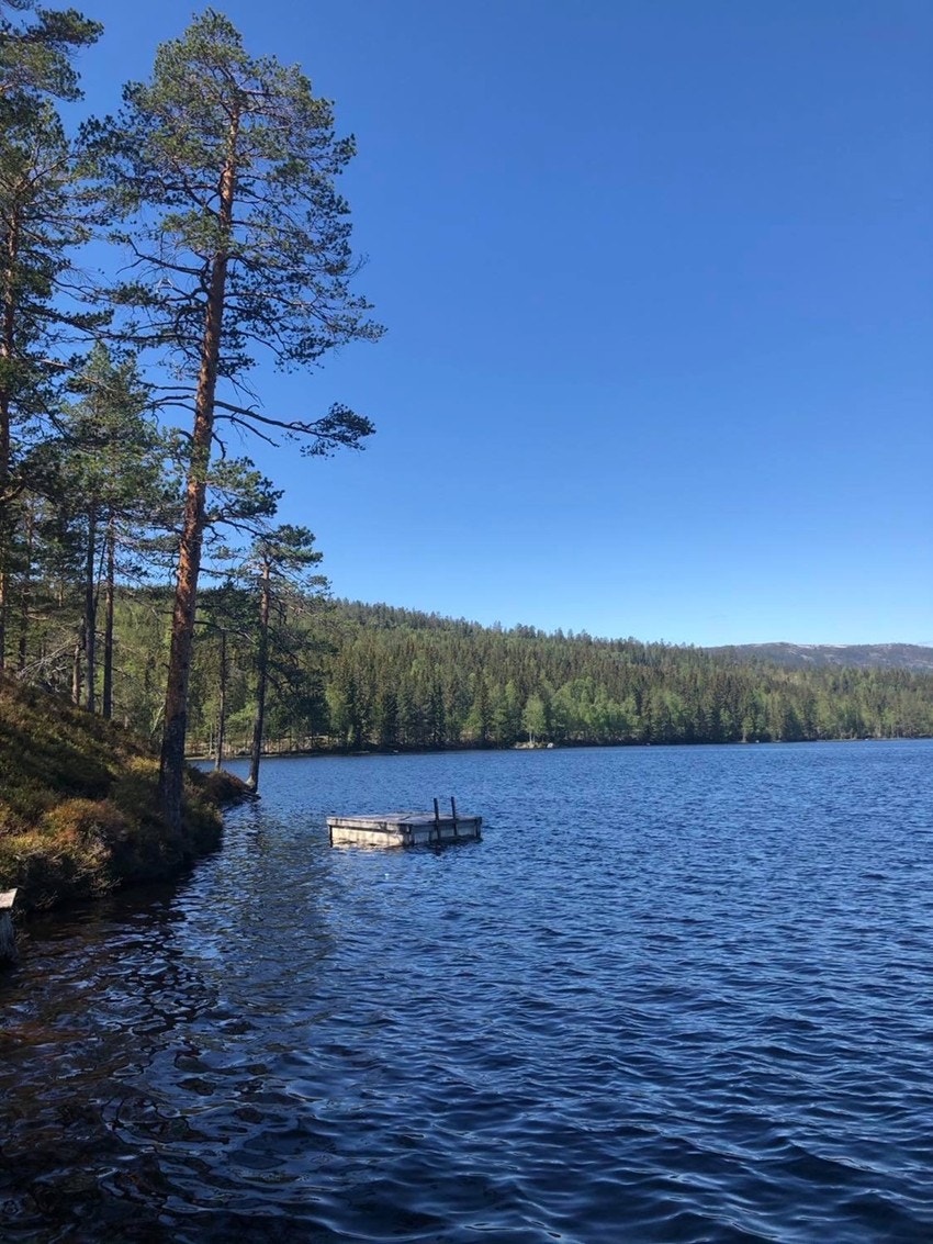 Selgers bilde Galleribilde