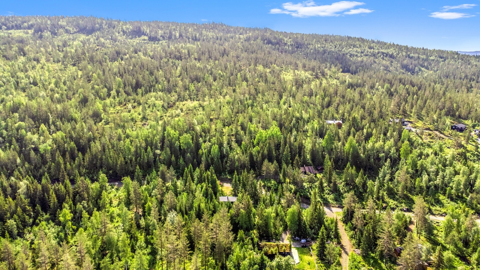 Oversiktsbilde Galleribilde