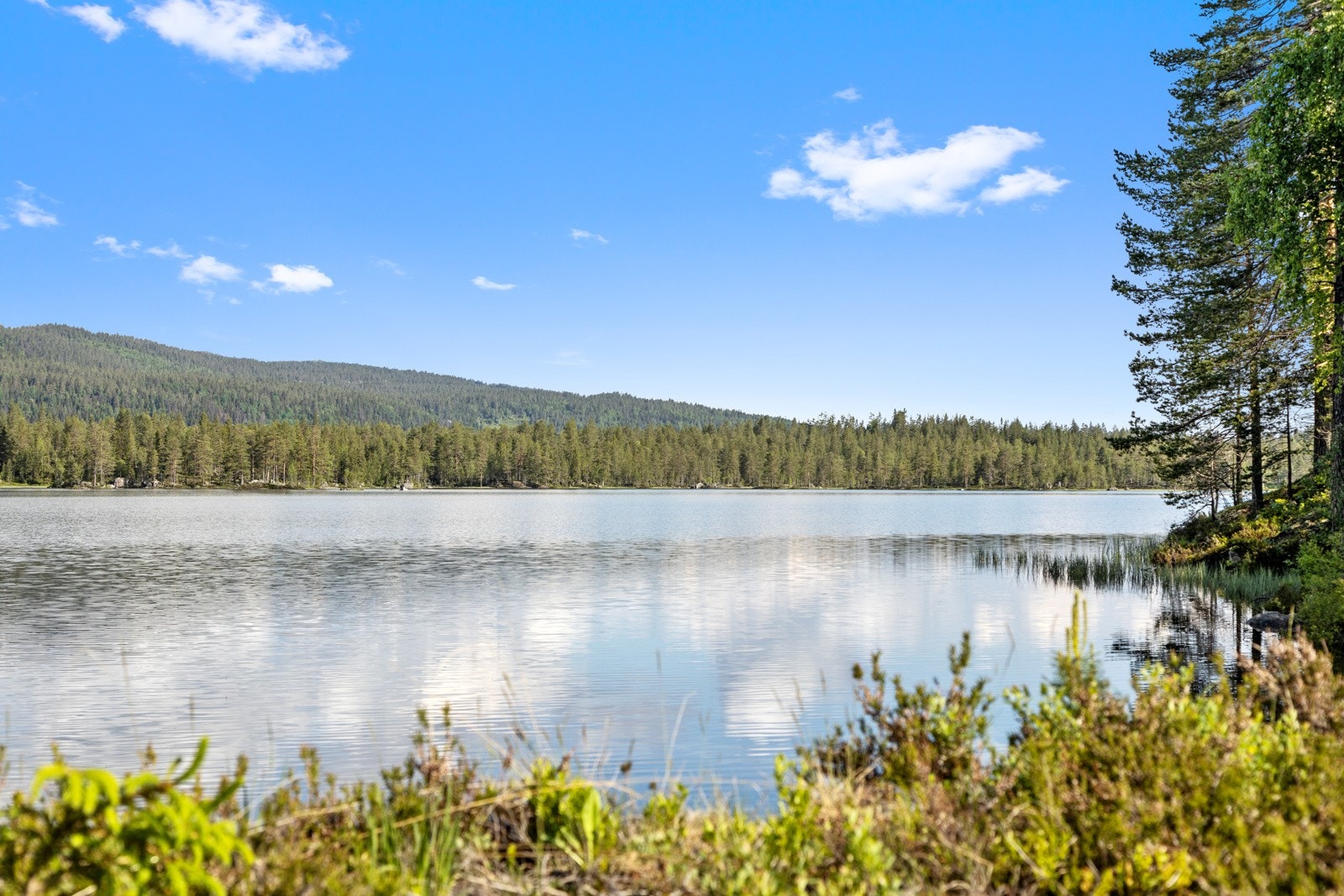 Grytevatn byr på gode bade- og fiskemuligheter. Galleribilde