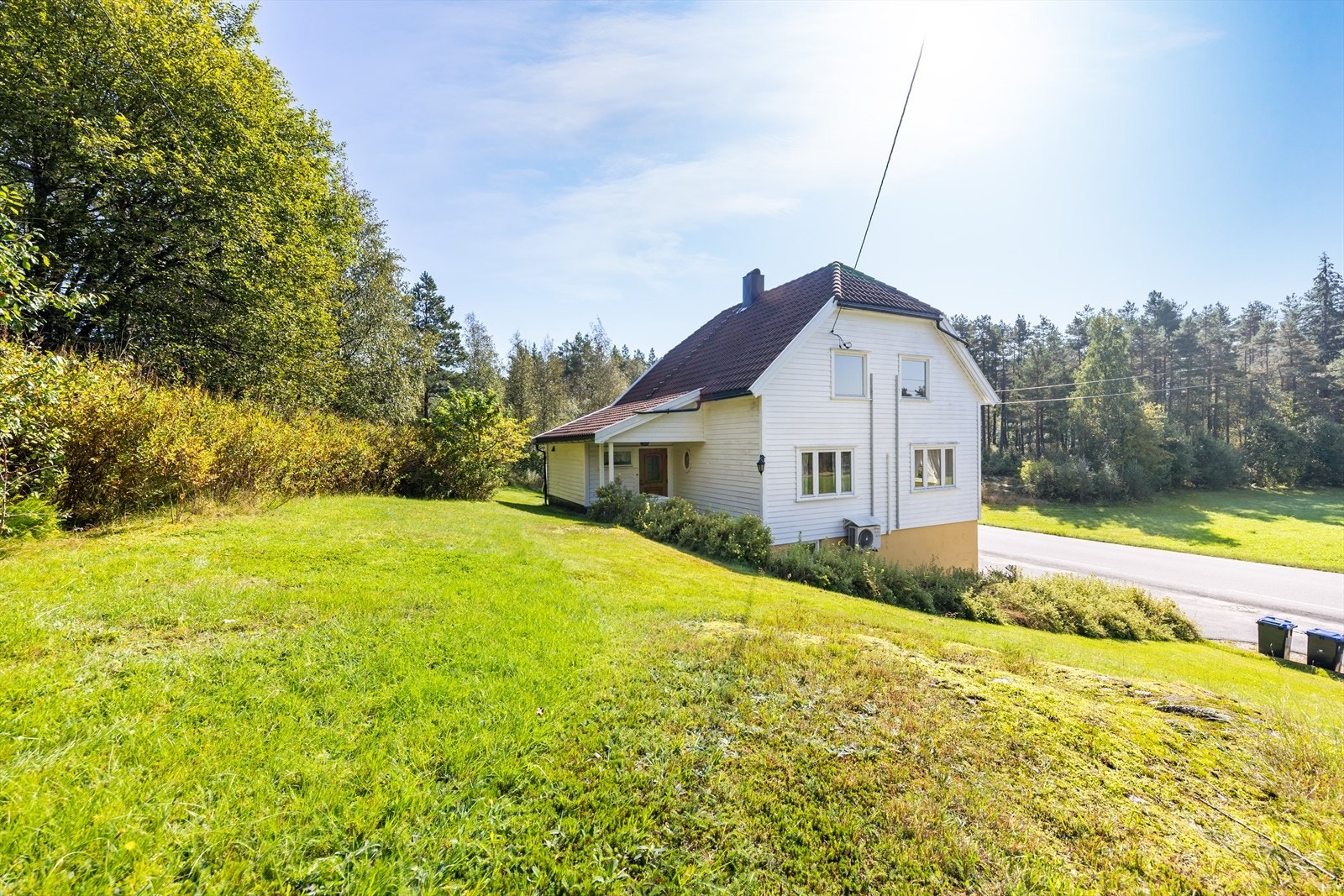 Eiertomt med plen Galleribilde