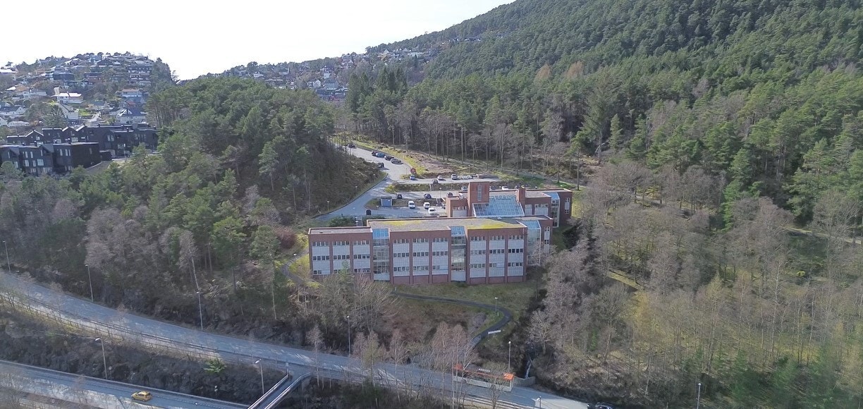 Naturlige omgivelser på vakre Kråkenes Galleribilde