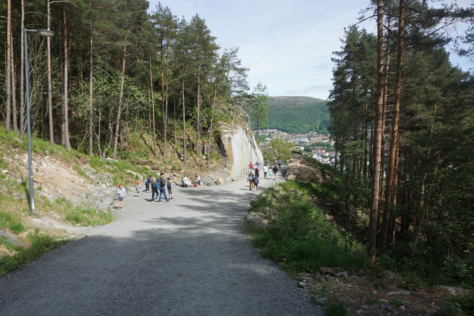 Turen til Løvstien starter fra Casperkollen Galleribilde