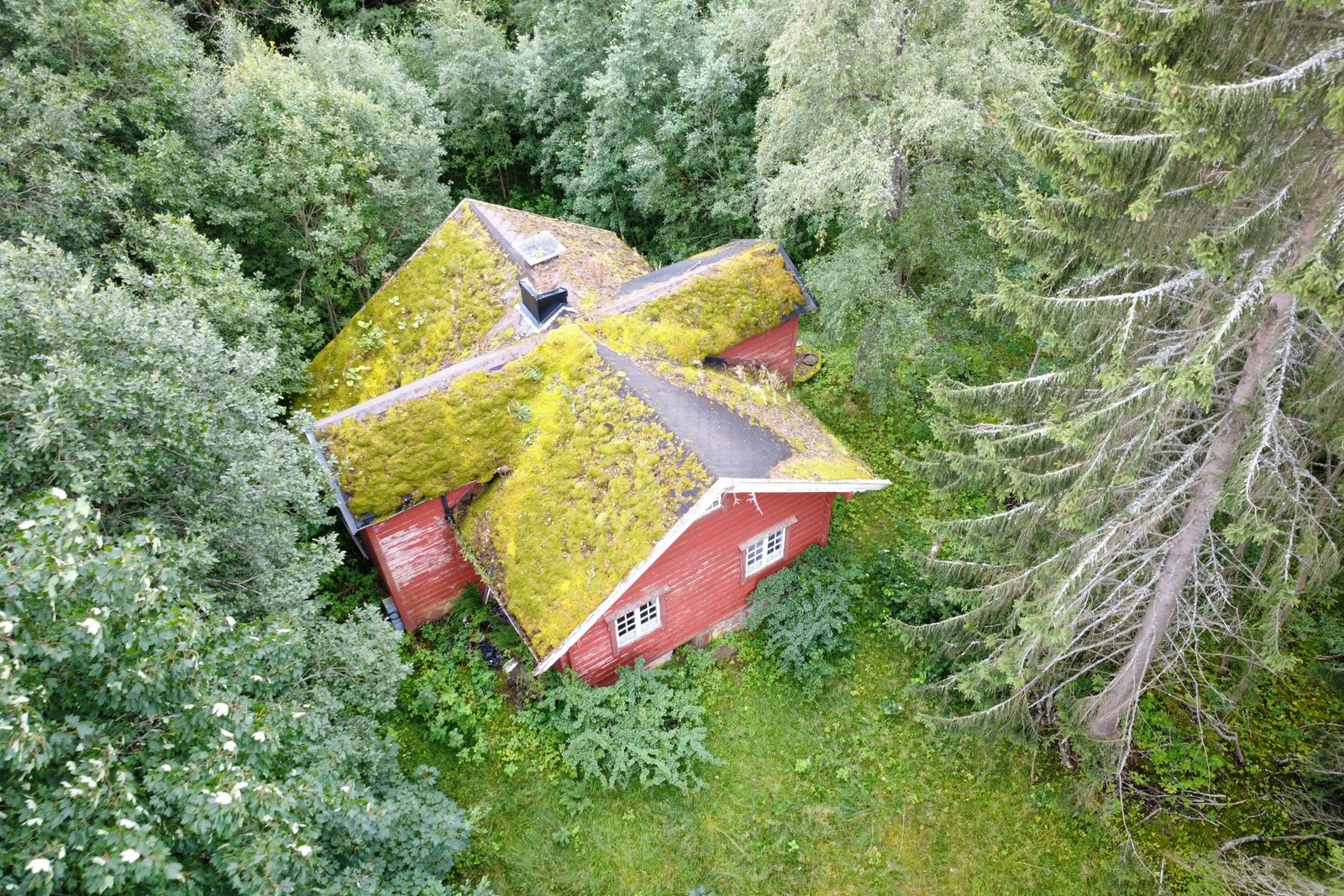 Boligen sett ovenfra - godt integrert i den naturlige omgivelsen. Galleribilde
