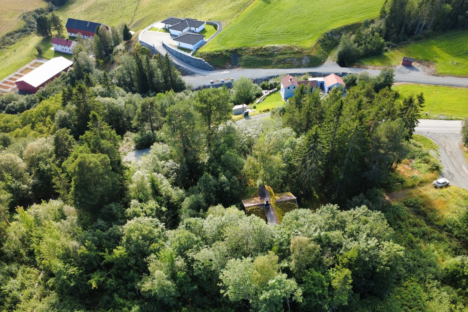 Velkommen til trivelig visning! Galleribilde