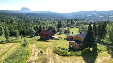 Oversiktsbilde Galleribilde