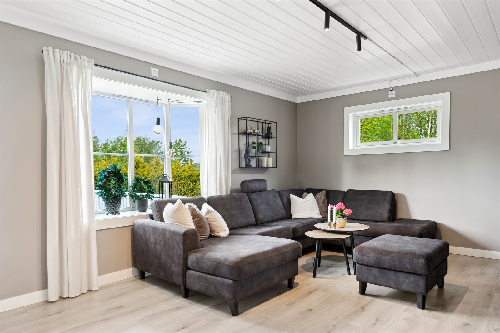 Trivelig stuestemning! Galleribilde