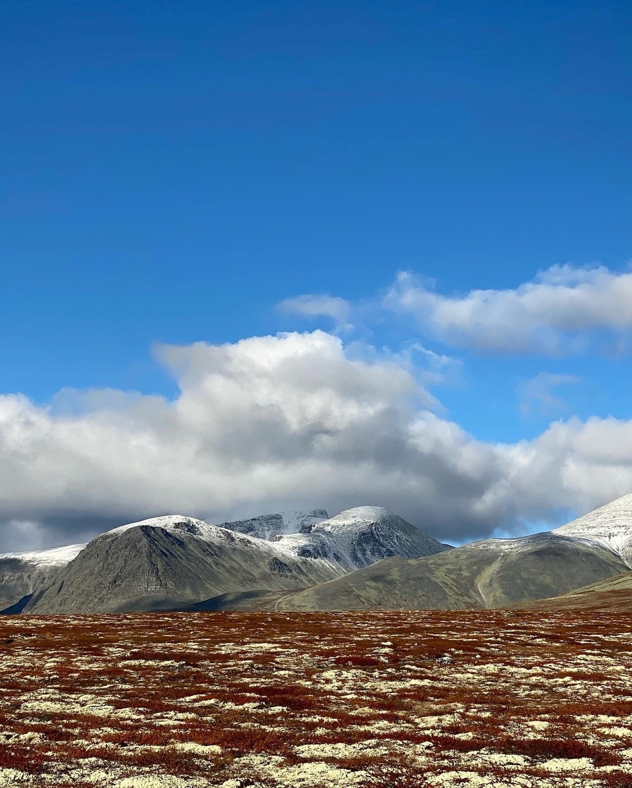 Selgers private bilder. Rondane i høstfarger. Galleribilde