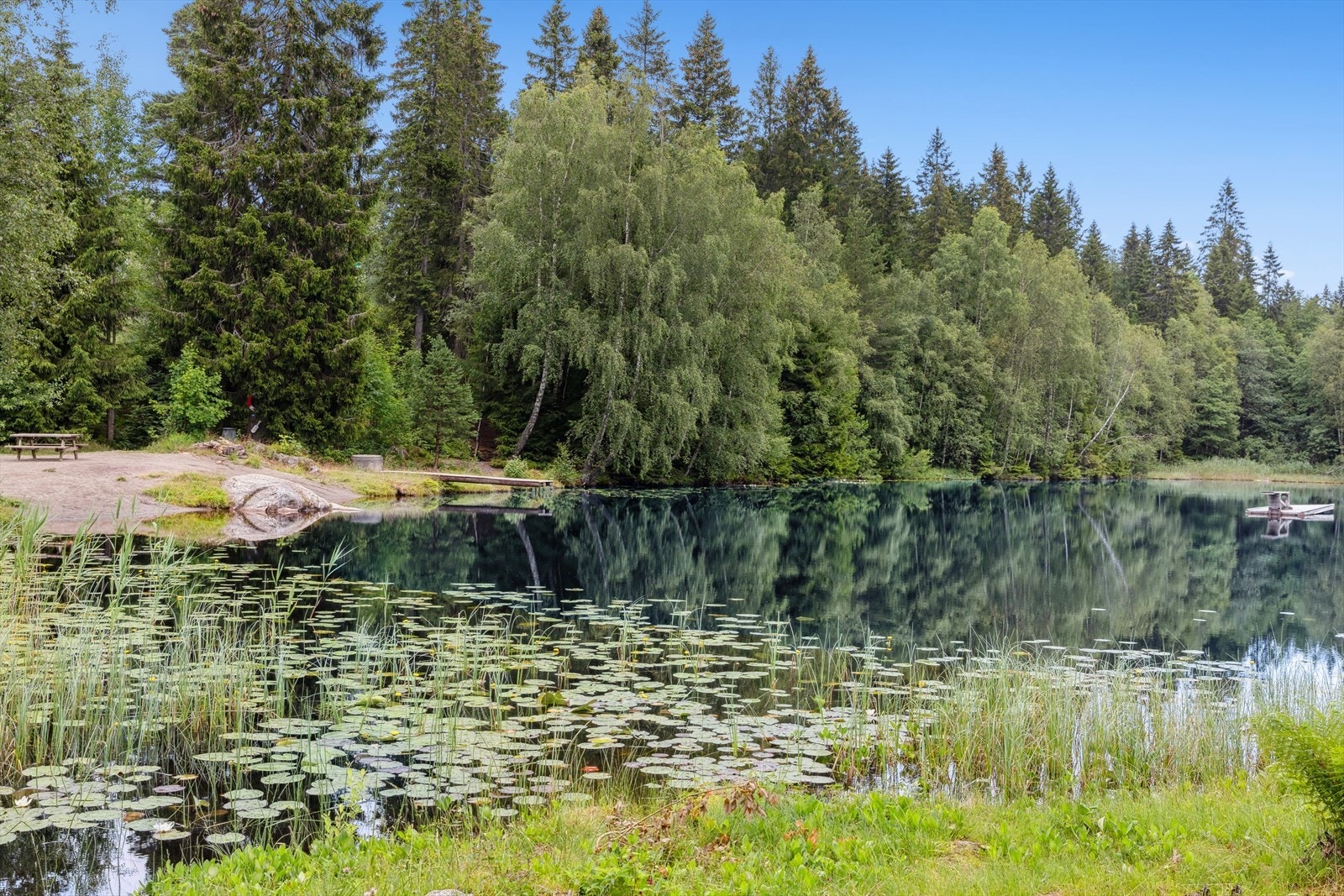 Idyllisk badeplass ved Svarttjern ca. 150 meter fra boligen. Galleribilde