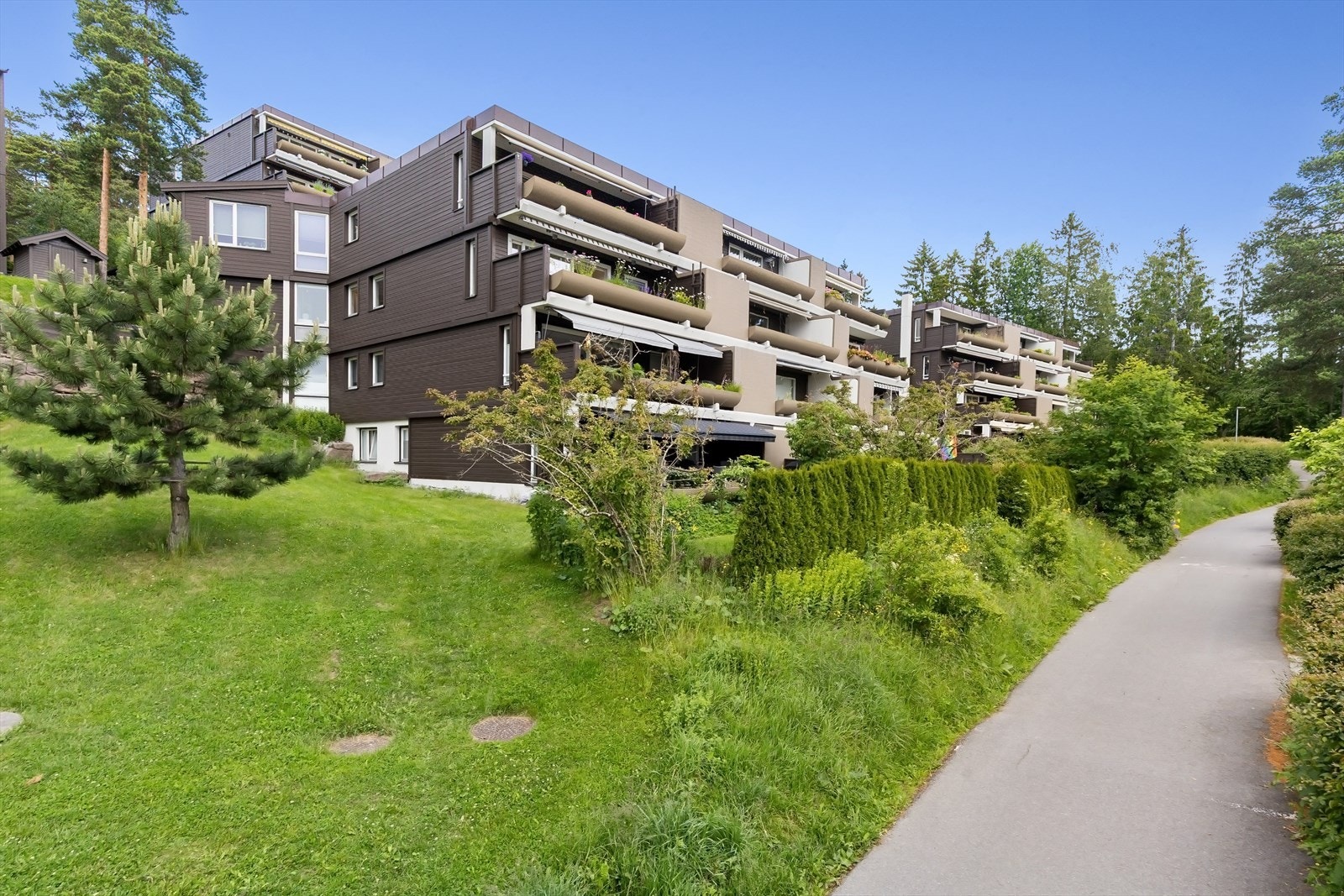 Ettertraktet og barnevennlig beliggenhet i populære Kragskogen, her får du fantastiske utsikt, gode solforhold og fine turområder. Galleribilde