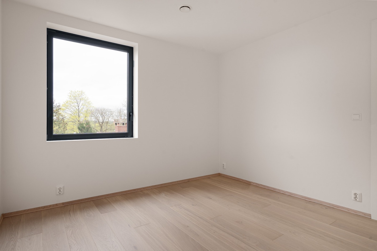 Soveorm Galleribilde