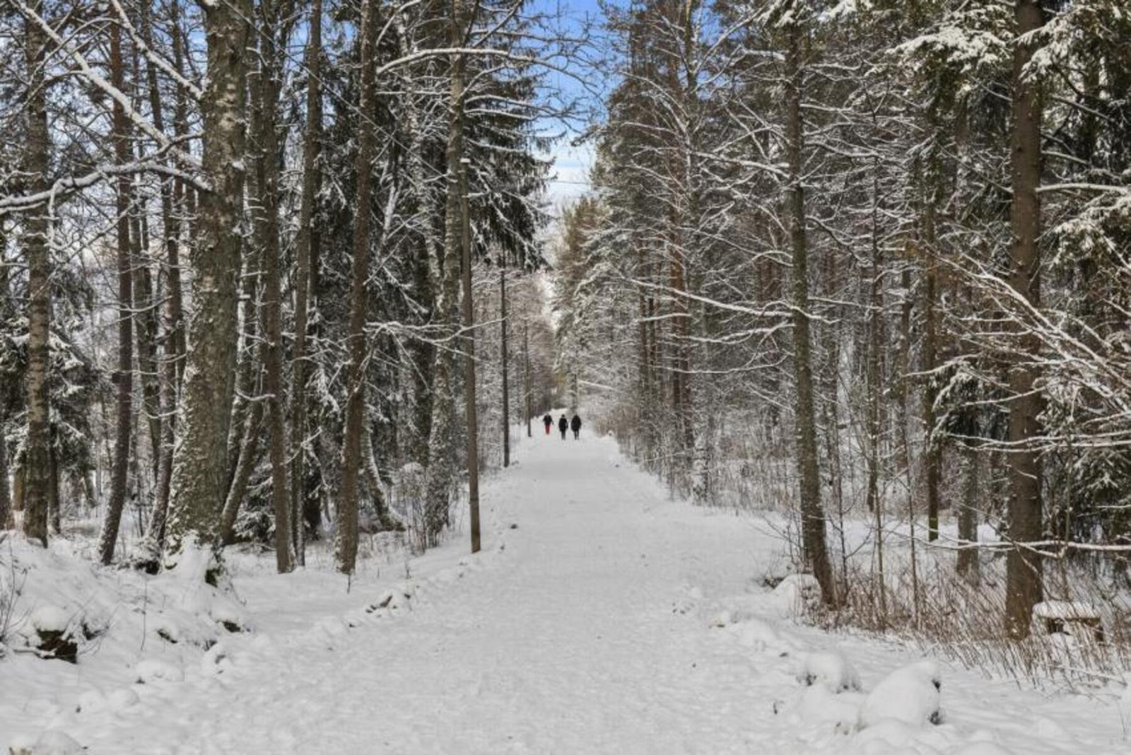 På Grønliåsen ligger Den Fredrikshaldske kongevei, en trygg gang-/sykkelvei med gatelys. Lengre inn i marka finner man turveien Oldtidsveien, en gang- og ridevei fra vikingetiden, som bl.a. leder til utsiktstårnet. Galleribilde