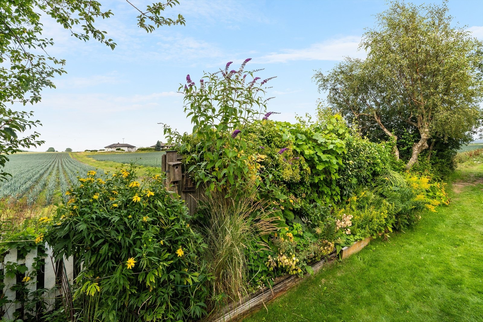 Her ligger man helt skjermet til. Galleribilde
