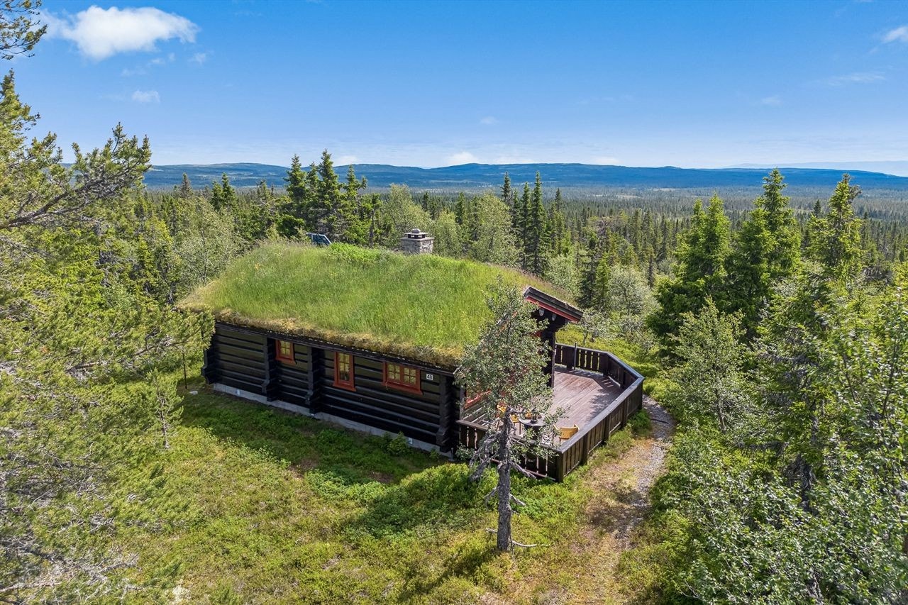 Hytta ligger i et veletablert hytteområdet med spredt bebyggelse og nærhet til norsk natur. Galleribilde