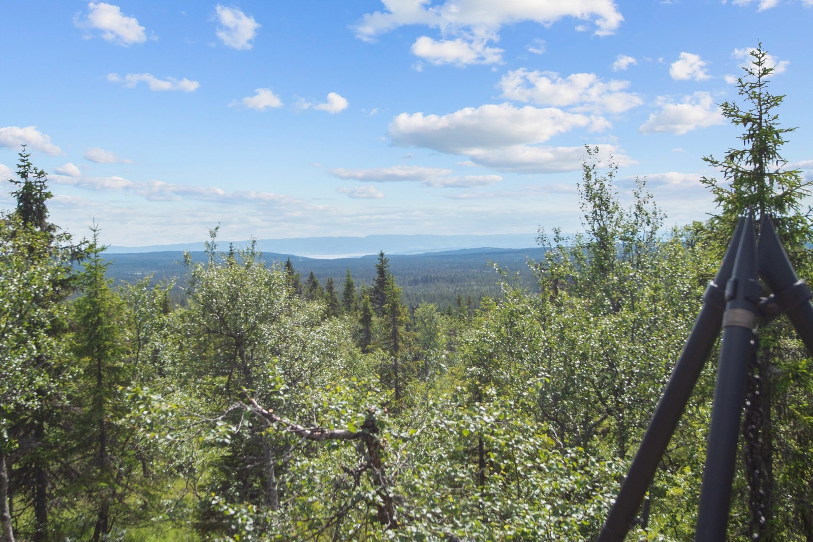 Mjøsgløtt Galleribilde