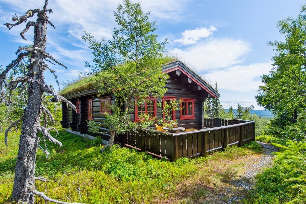 Velkommen til Farmenvollen 48 i Vang på Hedmarken! Galleribilde