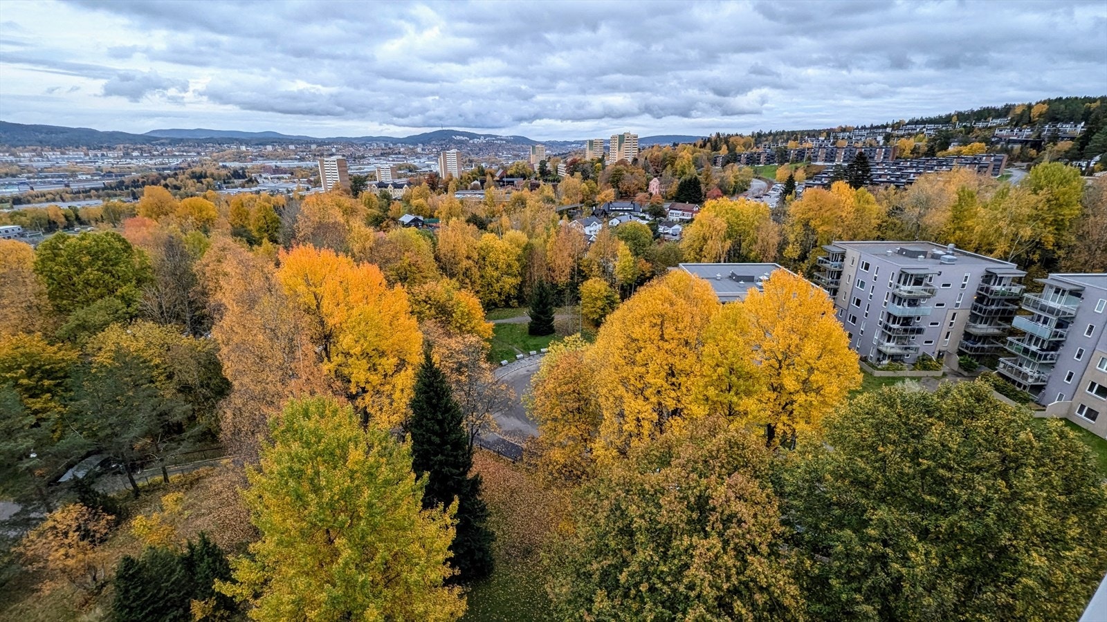 Flott utsikt Galleribilde