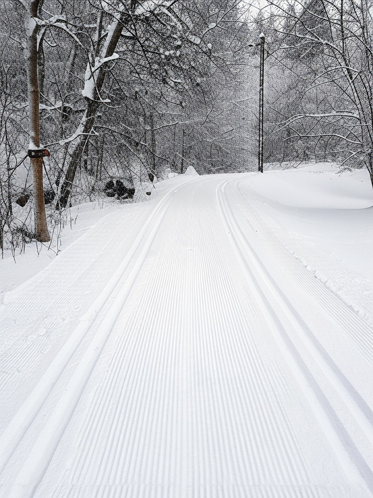 Nypreparerte løyper gjennom hele vinterhalvåret, 100 meter fra stuedøren, ski-in, ski-out! Galleribilde