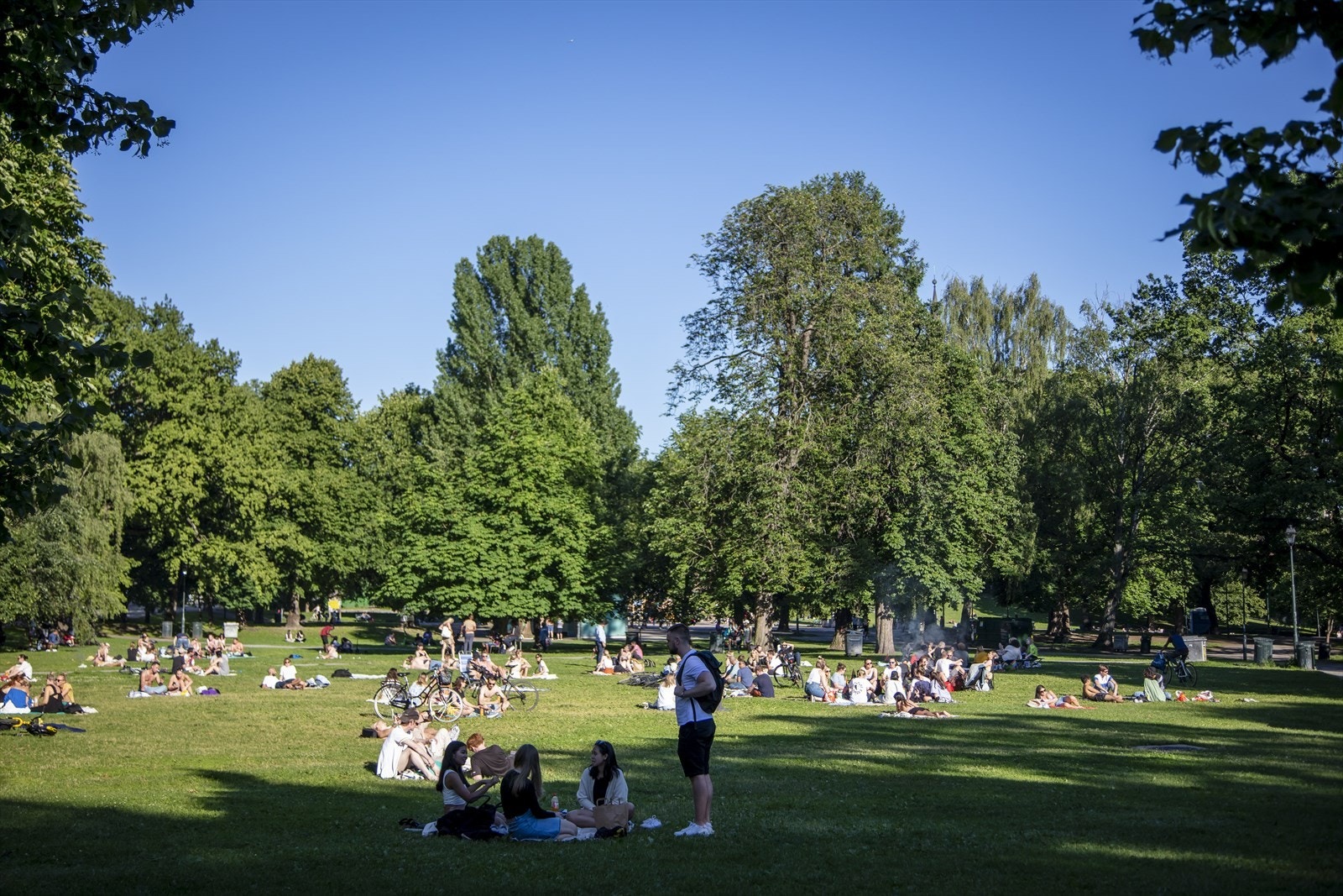 Innen et minutts gange ligger populære Sofienbergparken med muligheter for bl.a. gåturer, soling, grilling og sportsaktiviteter Galleribilde