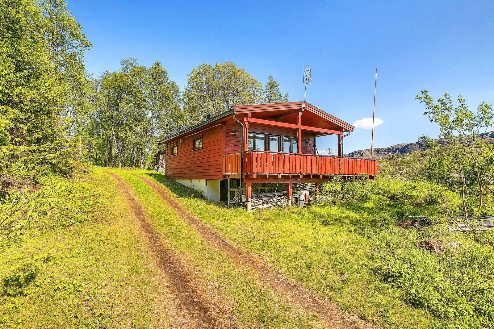 Kjørevei frem til hytta på sommerstid Galleribilde