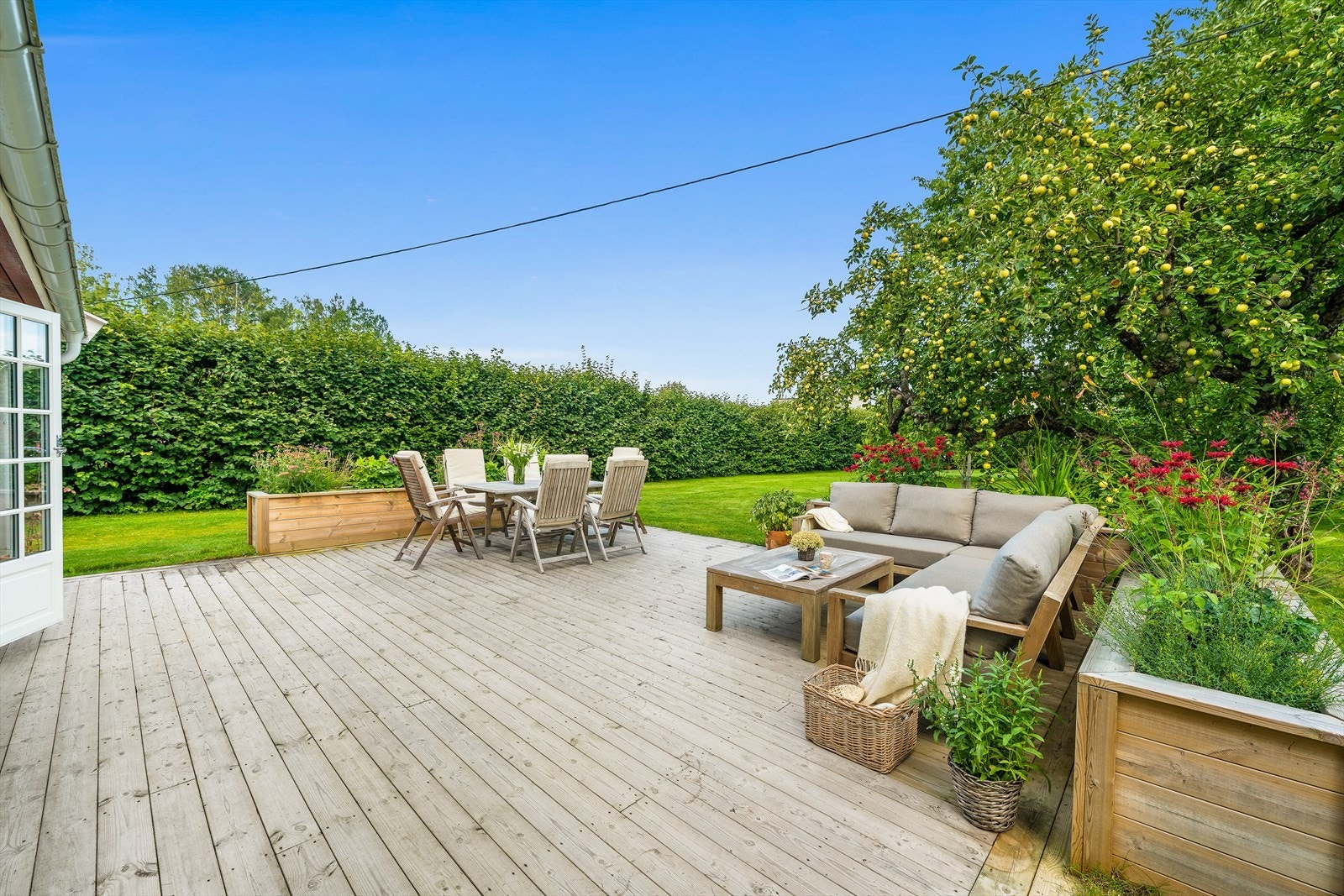 Høy hekk som avgrenser deler av hagen Galleribilde