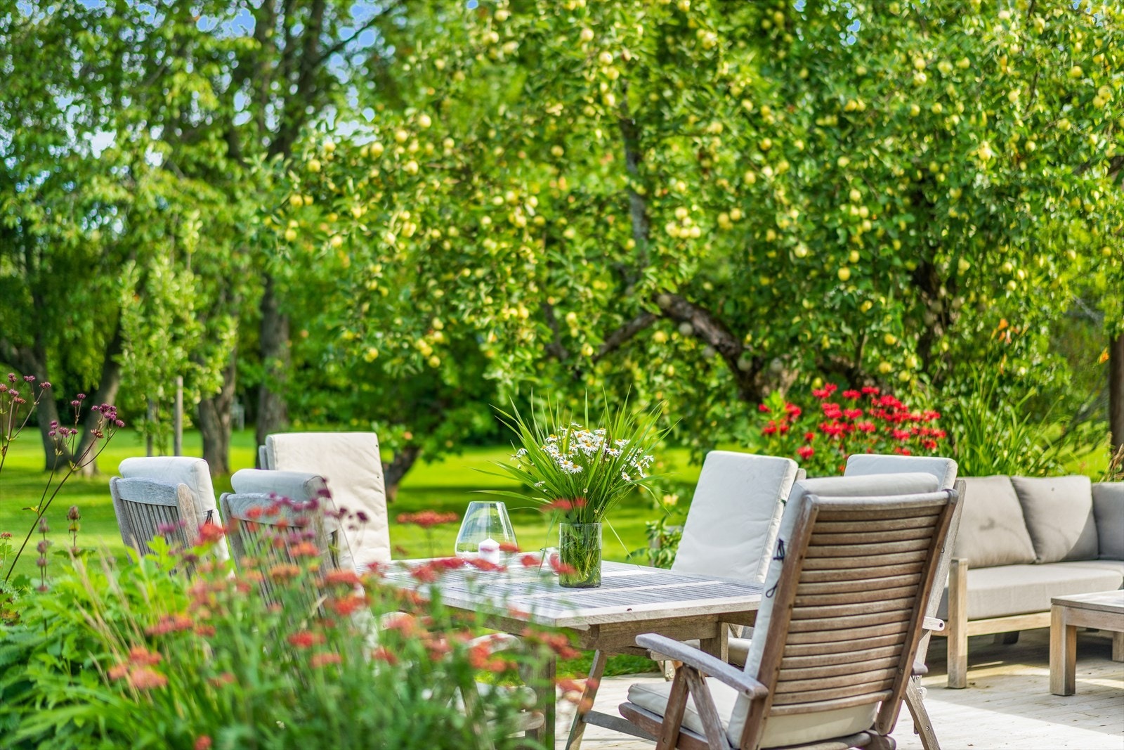 Epletre og blomsterkasser omkranser terrassen. Det er flere andre frukttrær og busker i hagen også Galleribilde