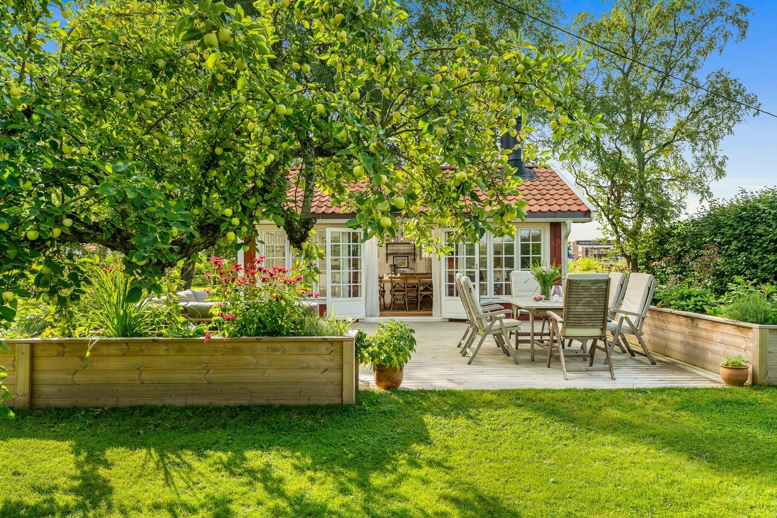 Unik stemning i hagen Galleribilde