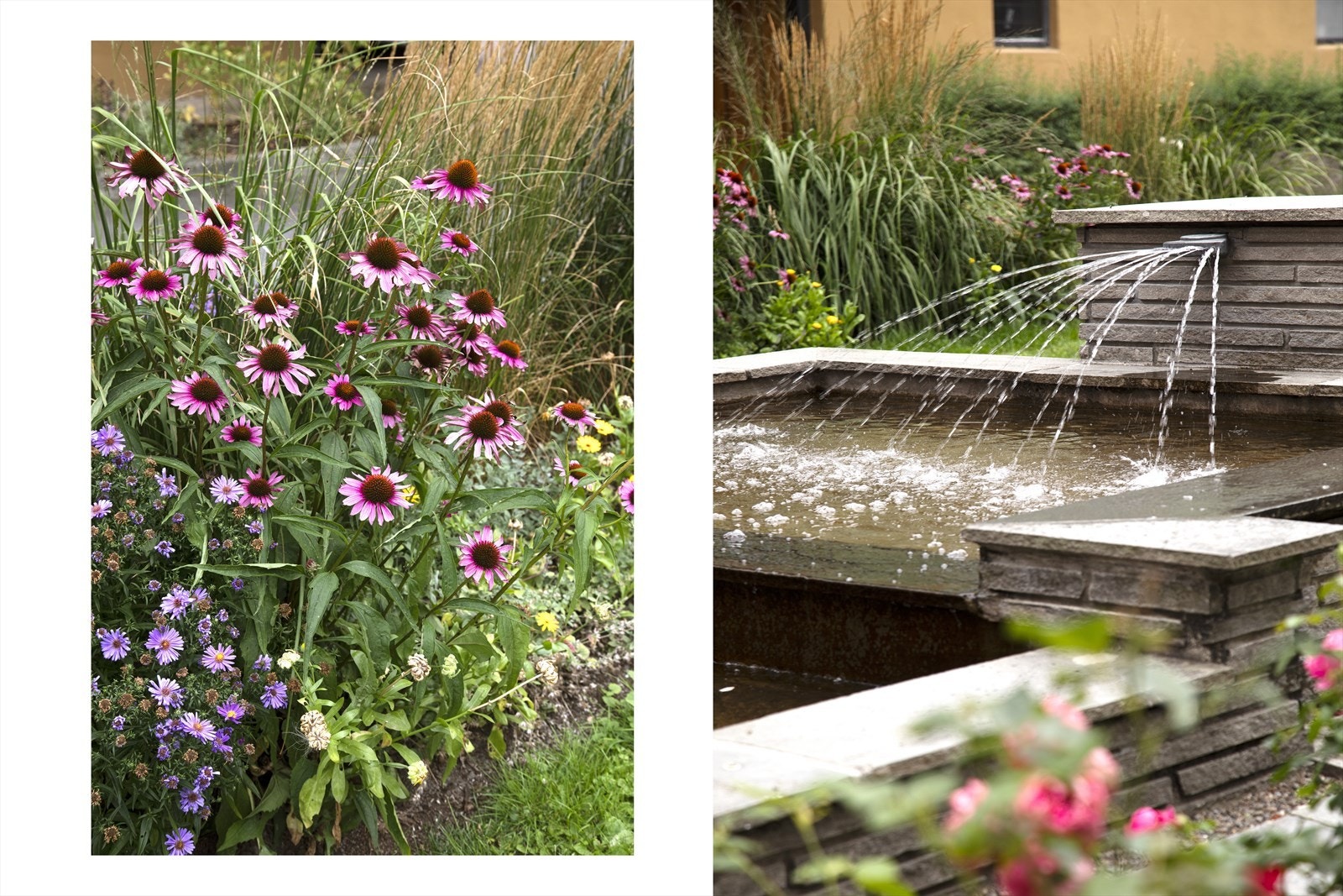 Pene uteområder i rolige omgivelser Galleribilde