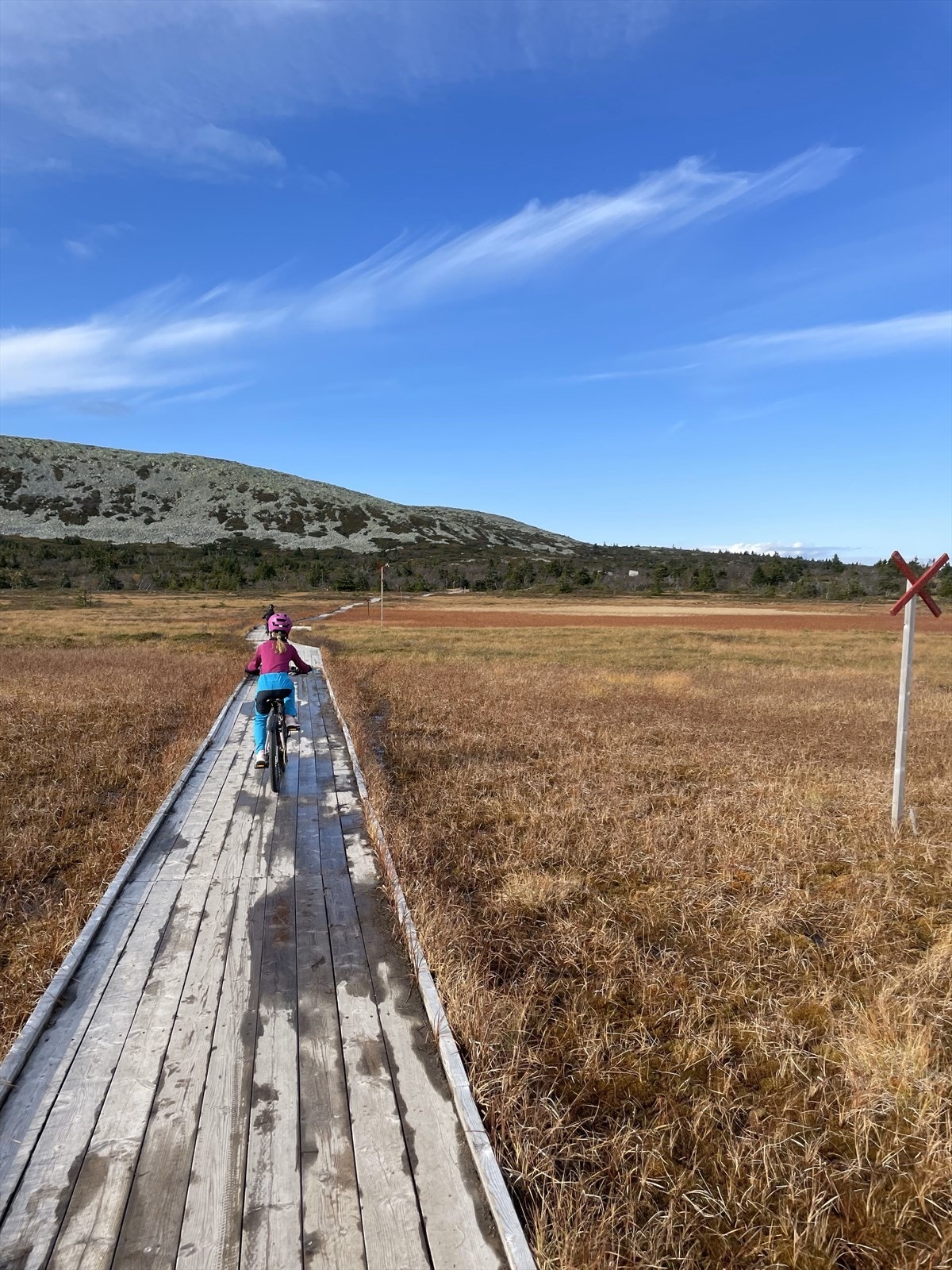 Området er tilrettelagt for sykling selv på ulendt terreng (selgers private bilde). Galleribilde