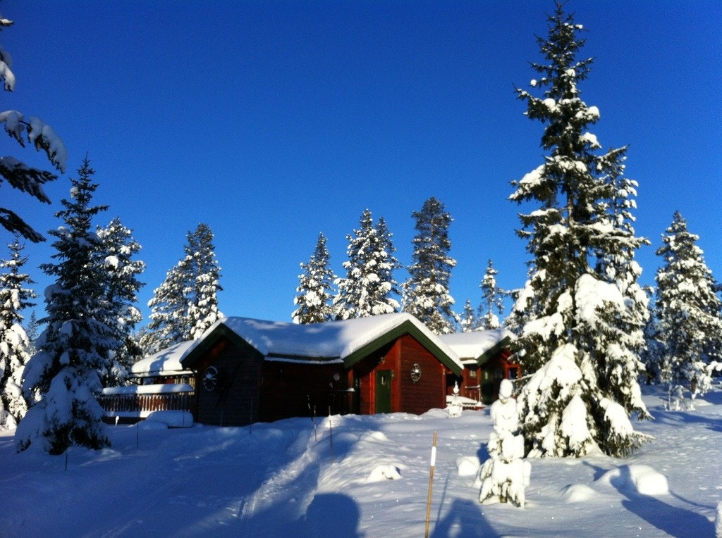 Her er det snøsikkert og på vinterstid er det enkel adkomst til velpreparerte skiløyper som strekker seg gjennom skogsområder og opp til fjell og vidder. (selgers private bilde) Galleribilde