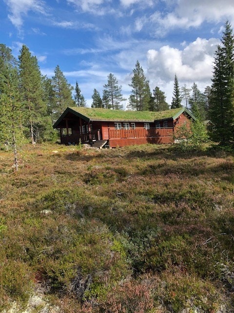 Både hytta og annekset har gjennomgått oppgraderinger i nyere tid, som bla. fornying av torvtak, skiftet ut terrassebord, skiftet flere vinduer mm. (selgers private bilde) Galleribilde