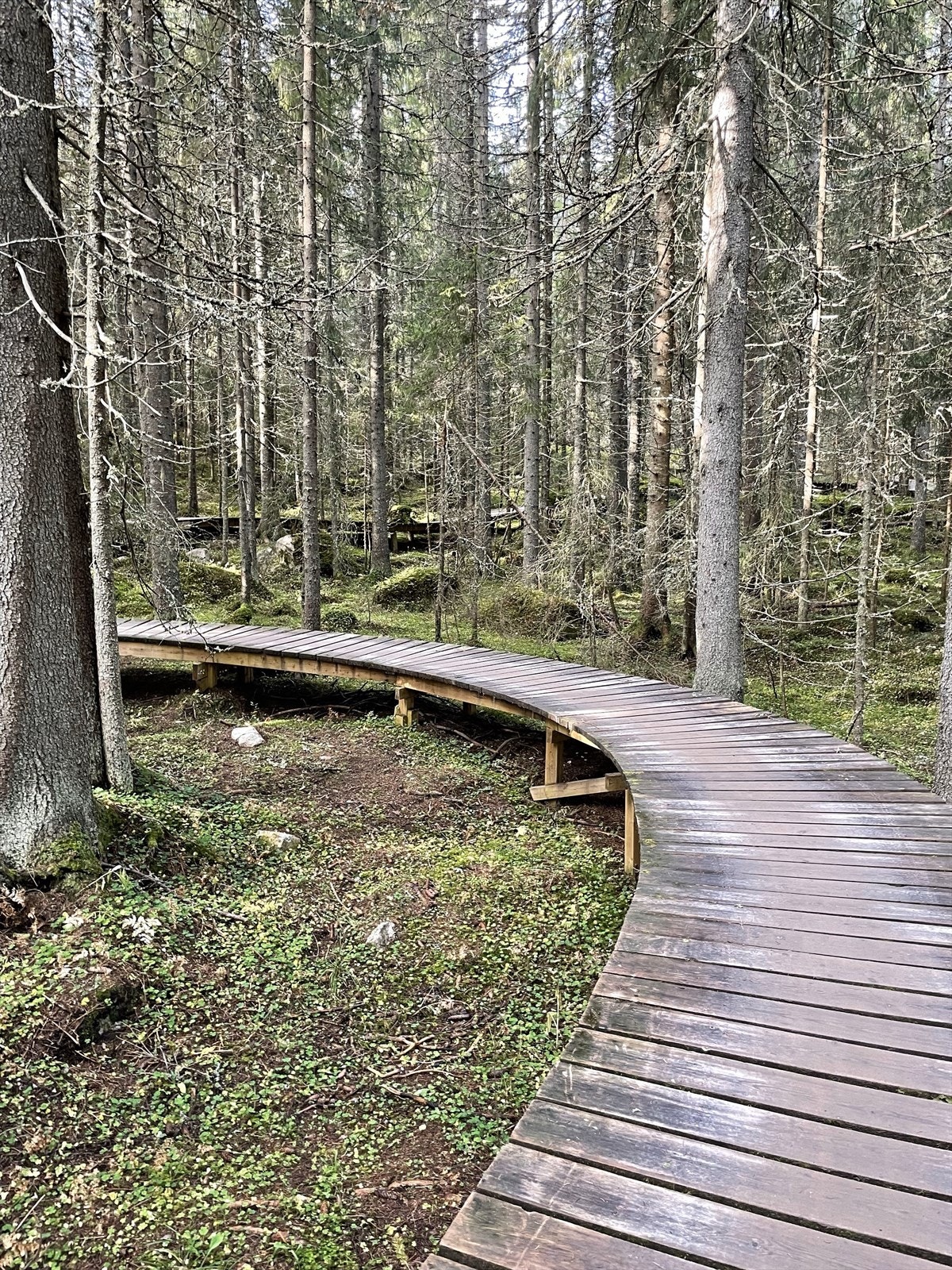 Fra den flotte og moderne Trysil Bikearena (selgers private bilde). Galleribilde