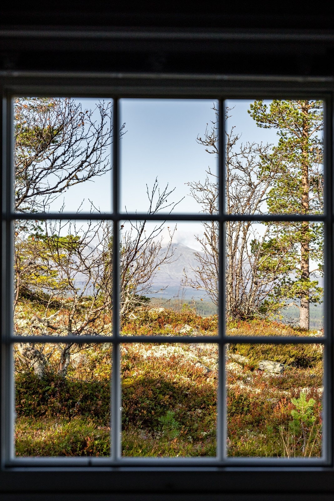 Denne utsikten blir du ikke lei! Galleribilde