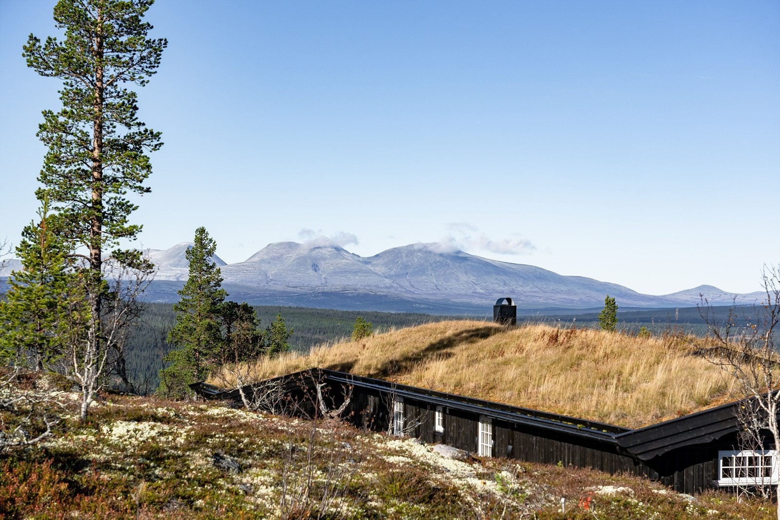 Sommerstid byr det samme området på vandringsstier, samt flotte fiskevann og jaktterreng. I Engerdal kan du fiske i over 900 bekker, elver, tjern og sjøer på bare et fiskekort! Jakt forvaltes av både private- og på statsalmenning. Galleribilde