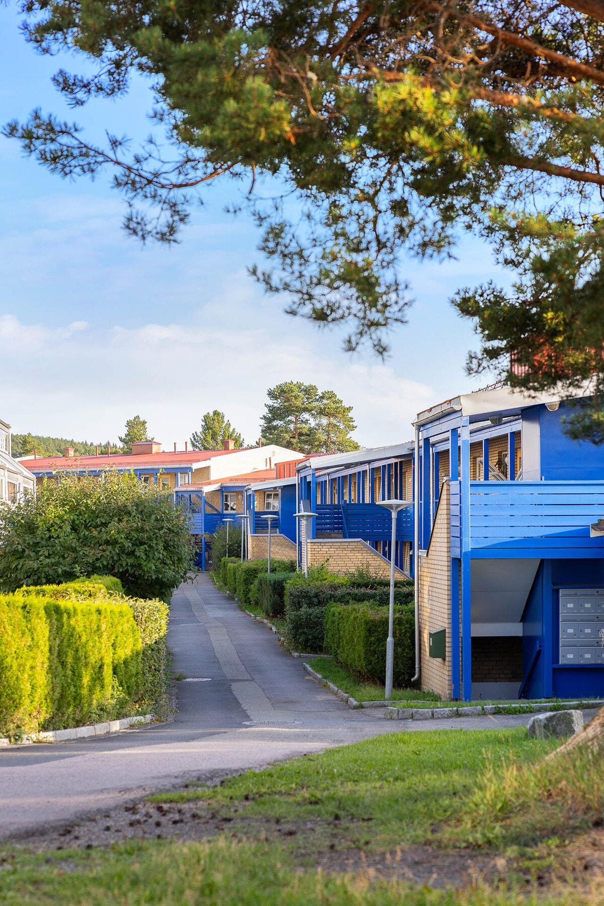 Fasade. Galleribilde