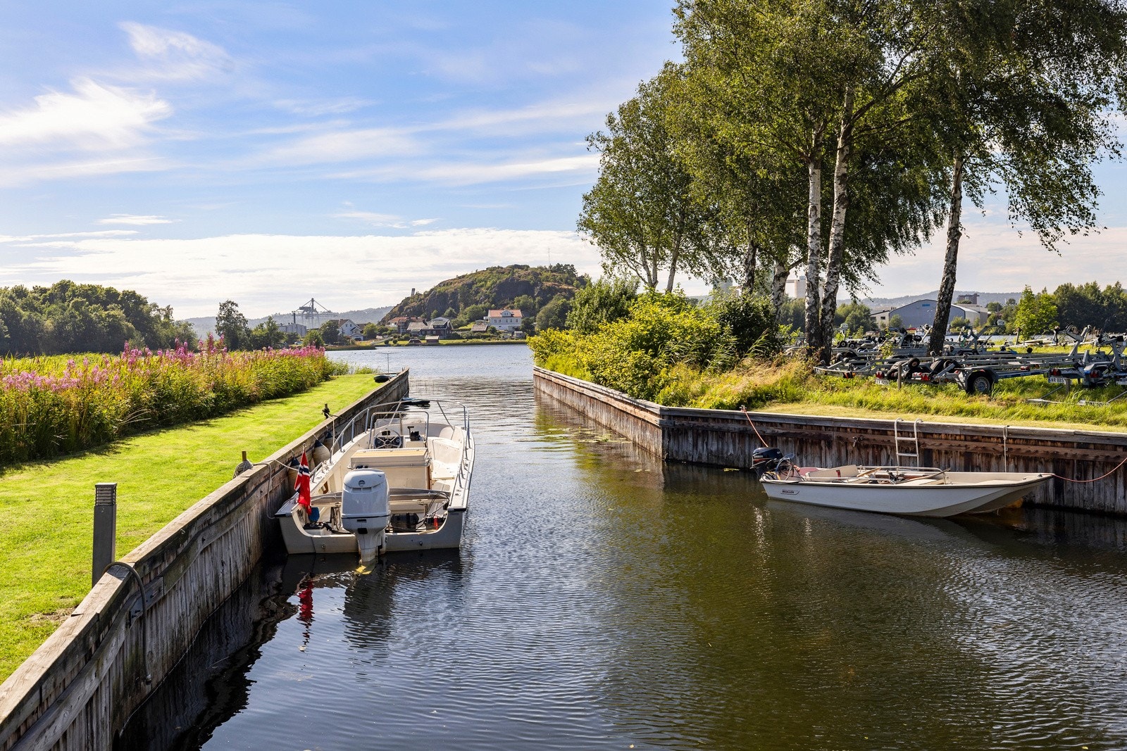 Ren idyll Galleribilde