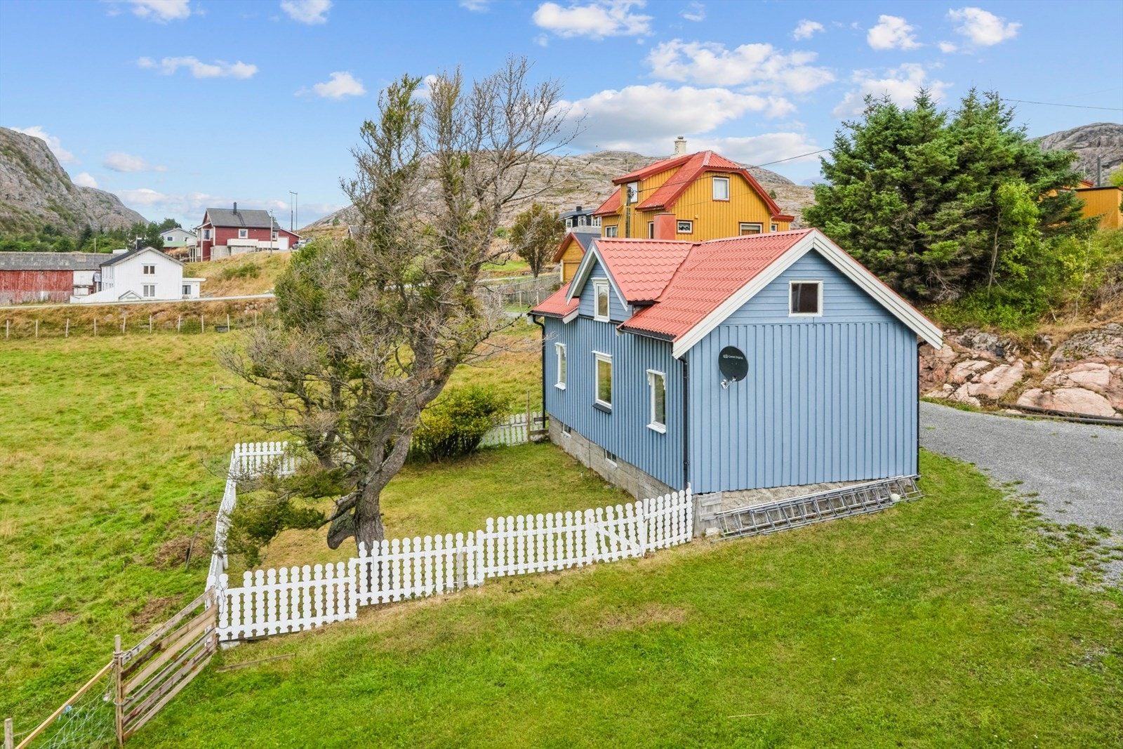 Hytta ligger på en flat og solrik tomt, omgitt av vakker natur Galleribilde