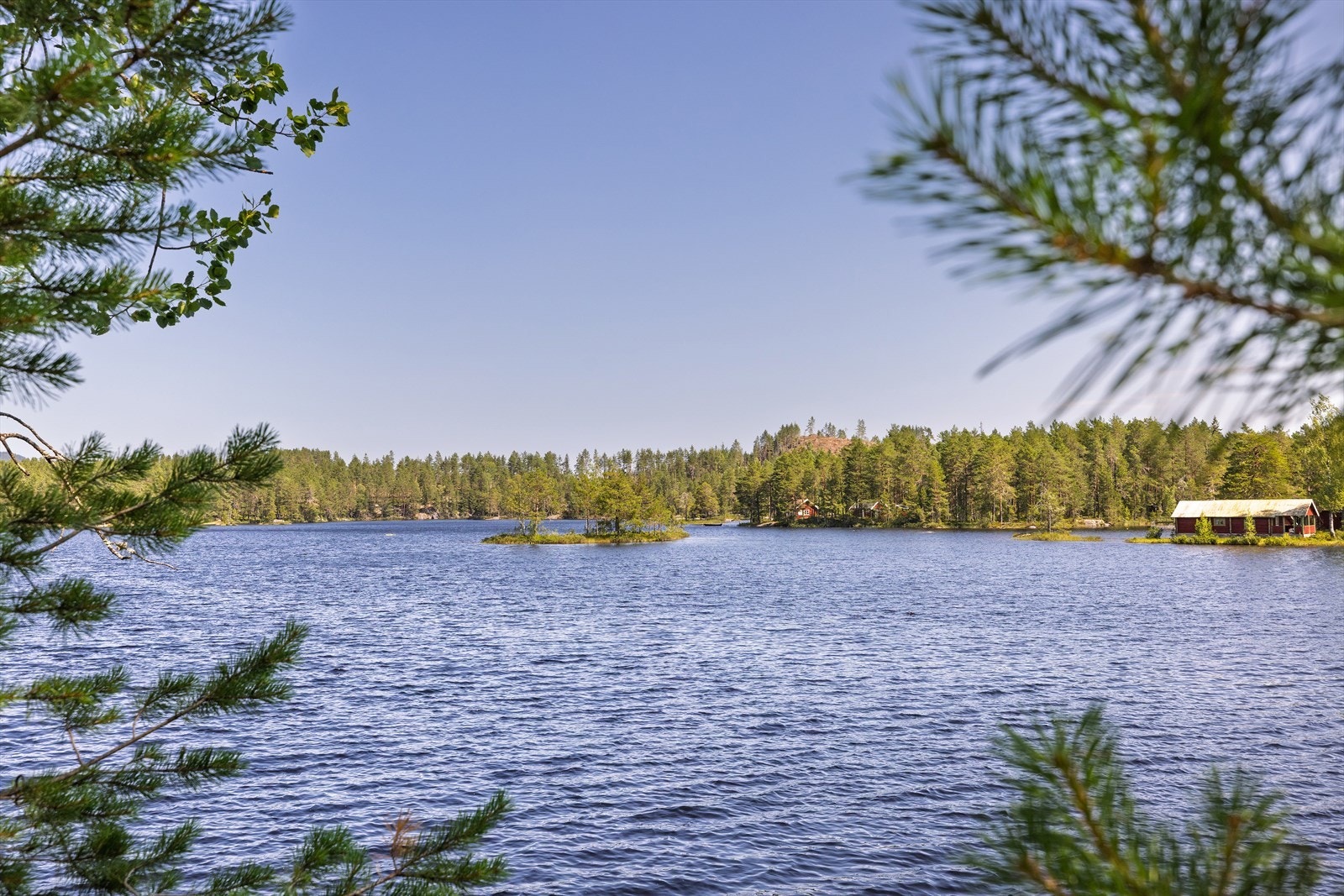 Nærhet til Hoensvannet i Øvre Eiker - et populært badested og rekreasjonsområde med gode muligheter for bading, fisking og friluftsliv. Galleribilde